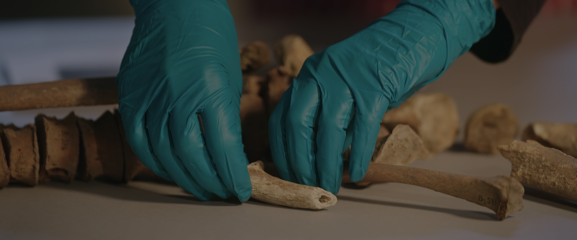 Viking Women: The Untold Story