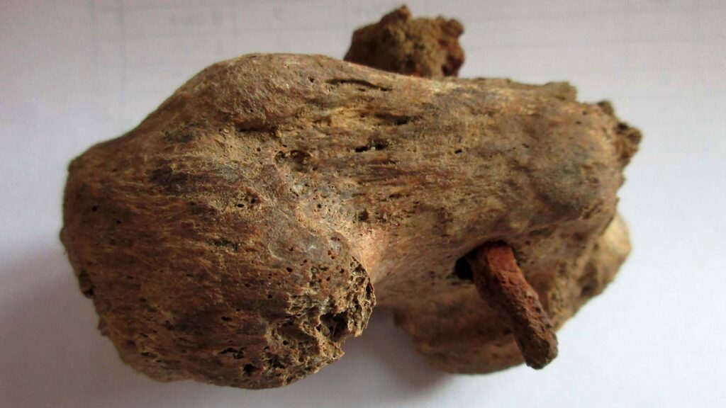 Crucifixion Bones — S1