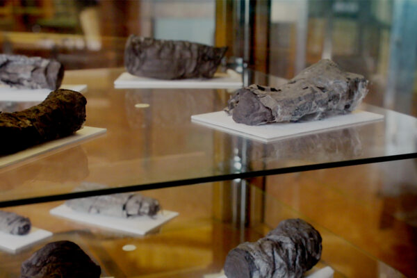 The Lost Scrolls of Vesuvius