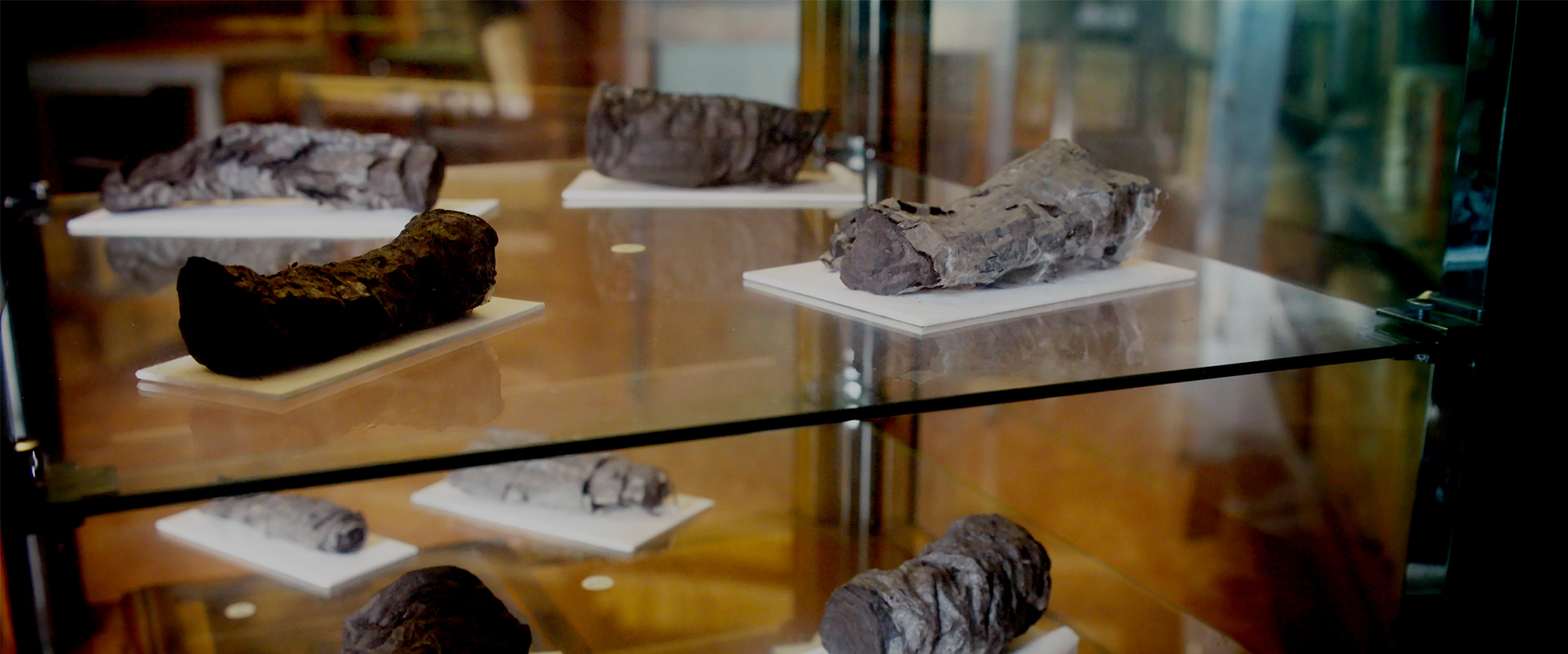 The Lost Scrolls of Vesuvius