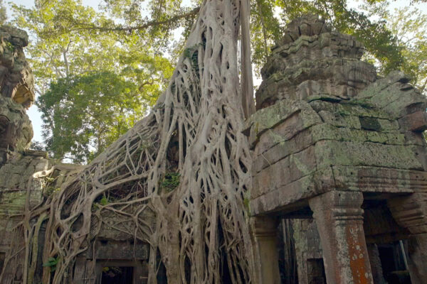 The Lost World of Angkor Wat