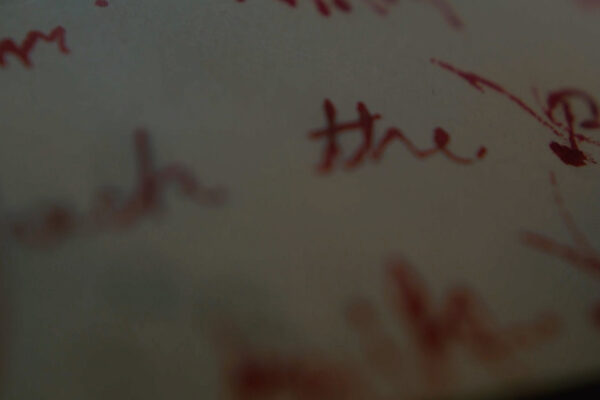 Jack the Ripper: Written in Blood